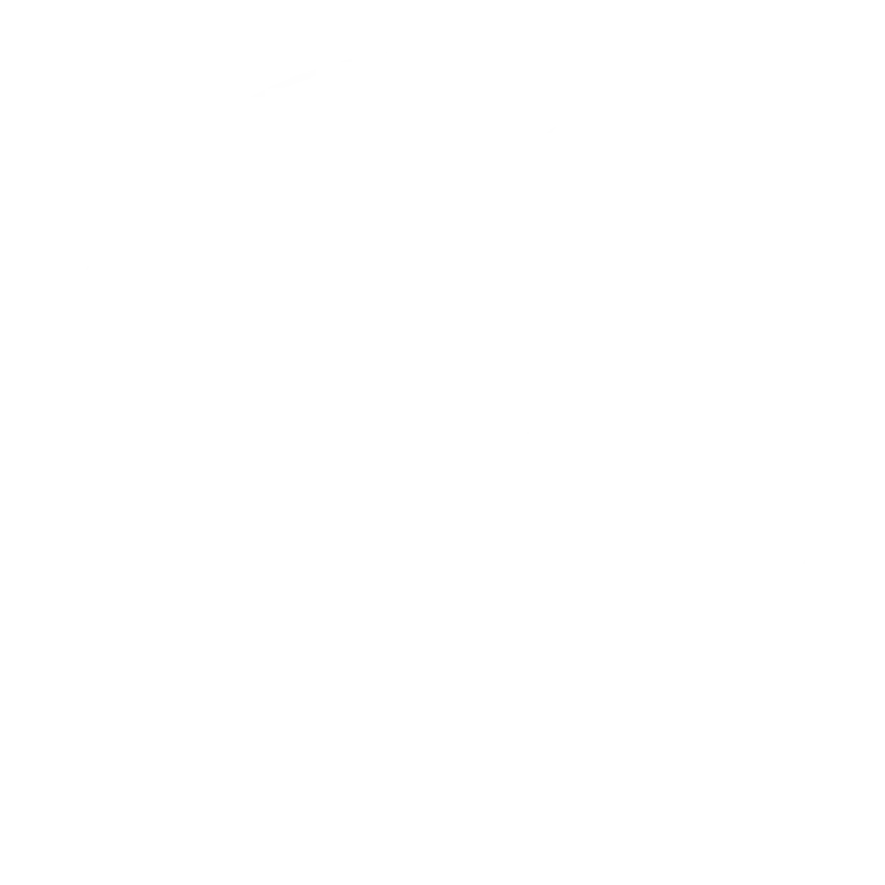 Arica Webshop