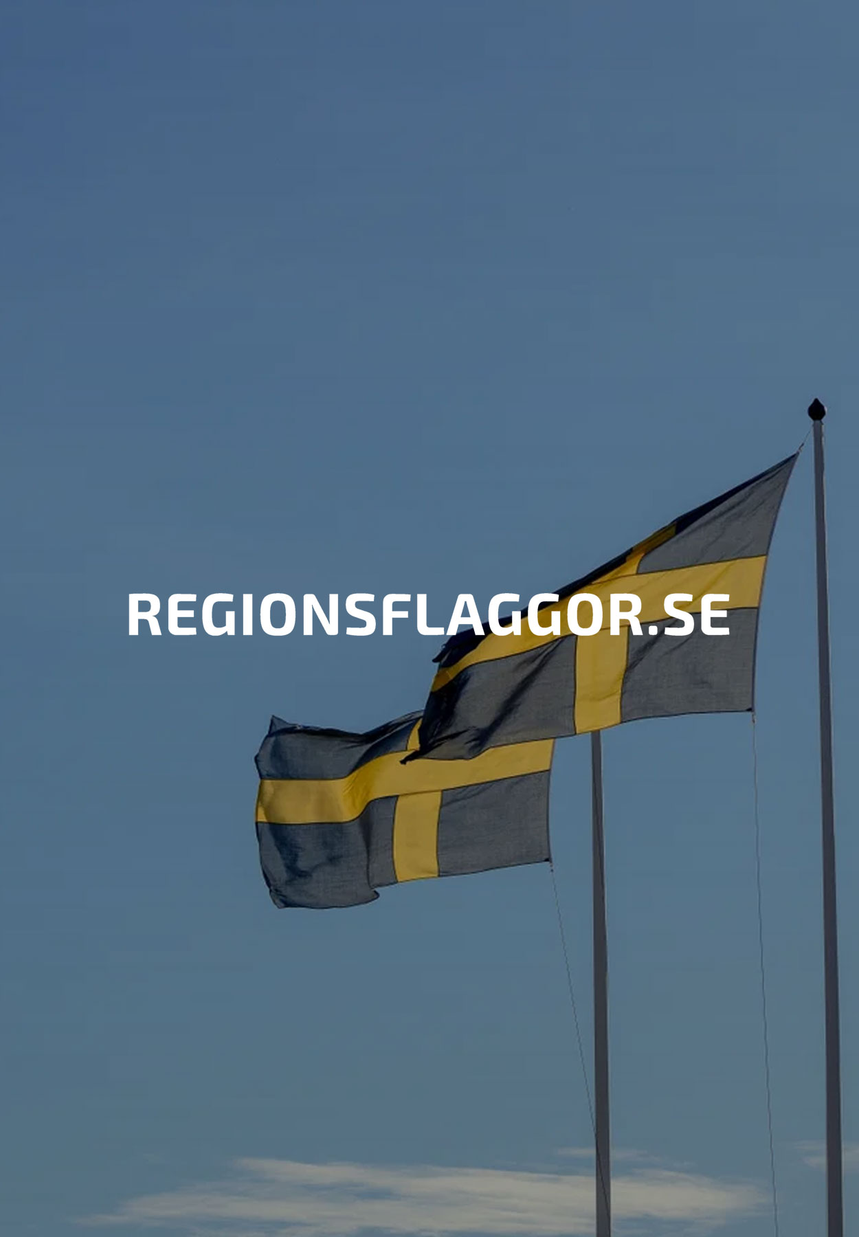 Regionsflaggor store