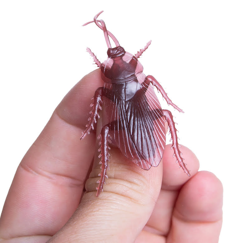 Kackerlacka (skämt)