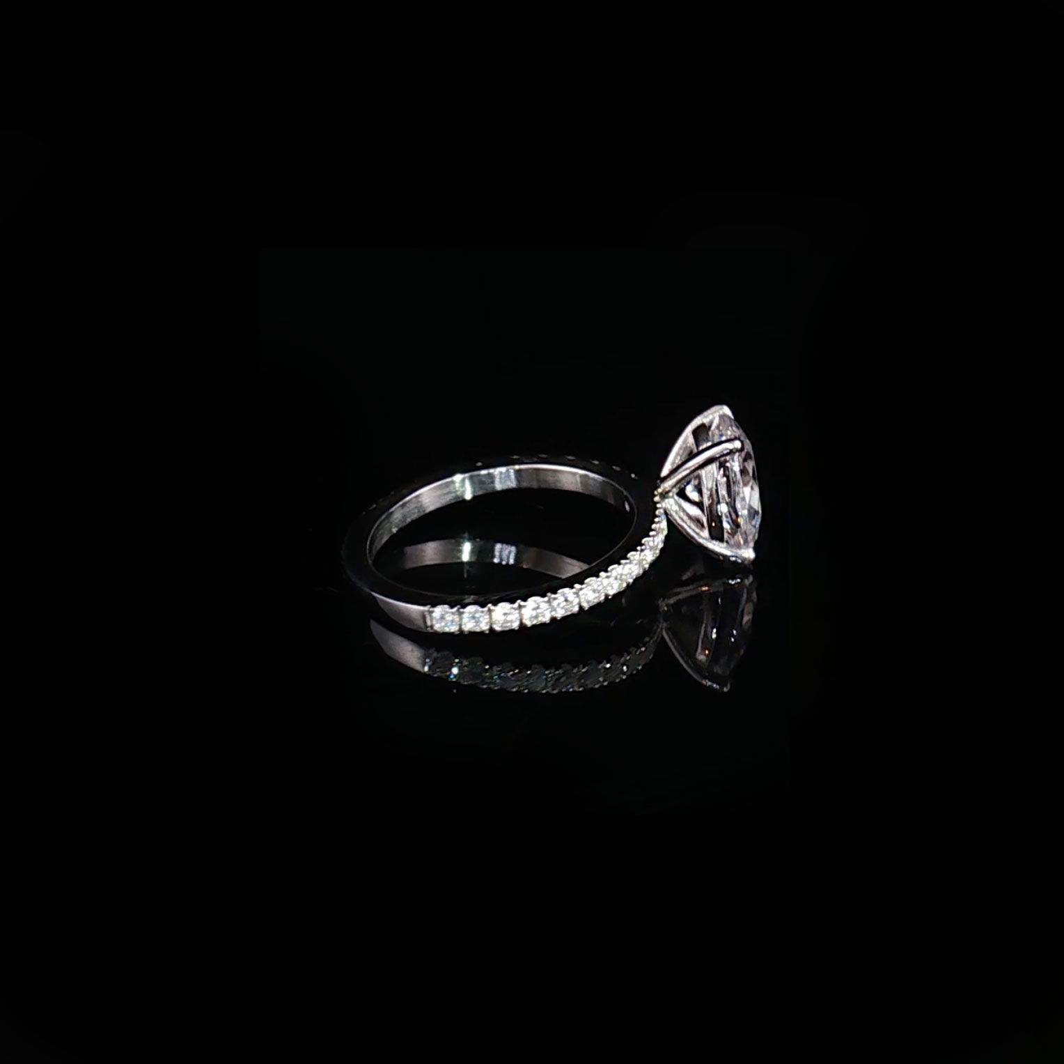 Vera Oval