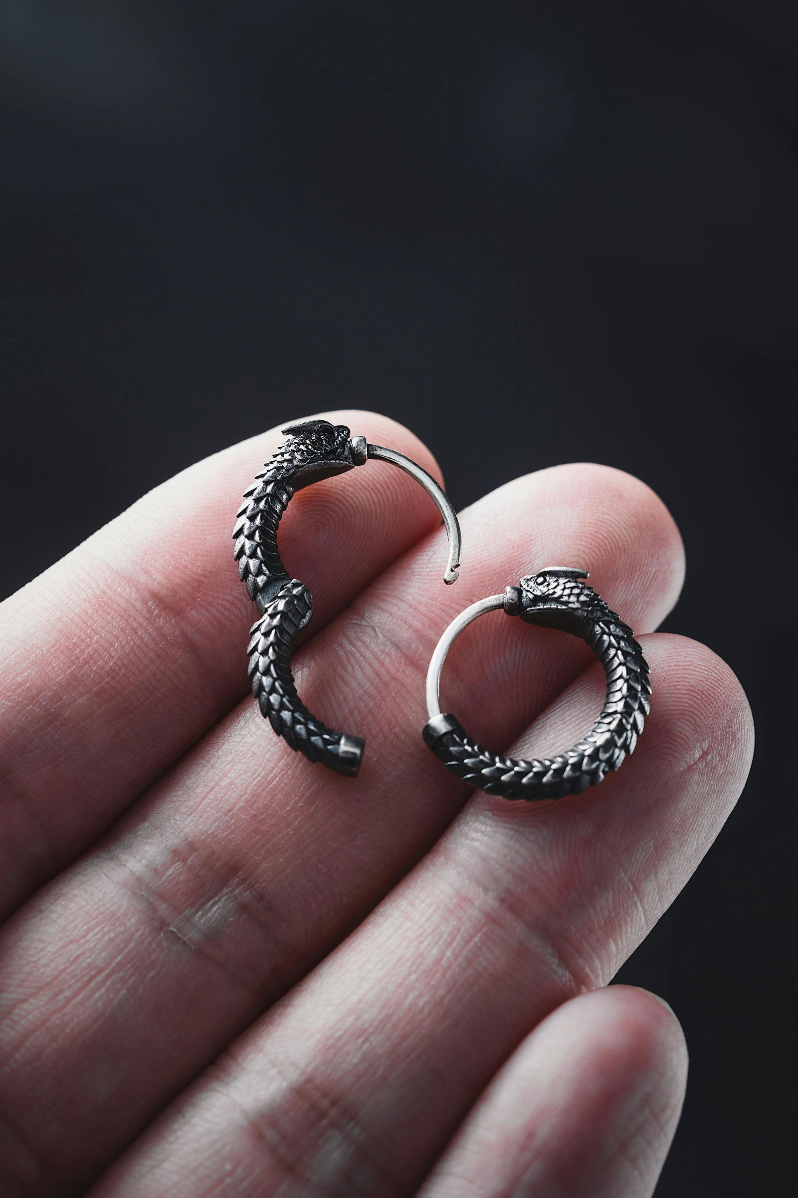 Ouroboros Örhänge Silver
