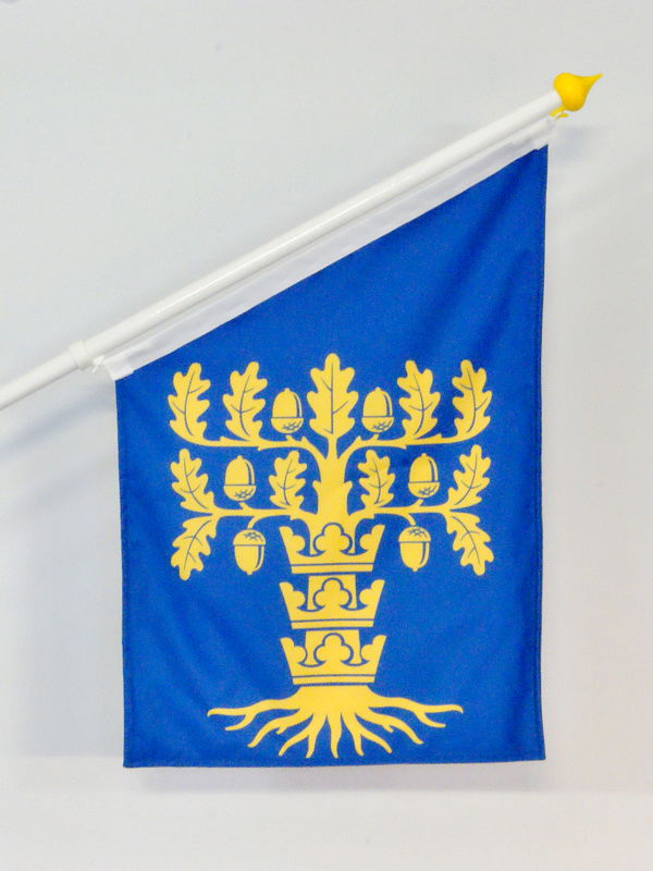 Landskapsflagga Blekinge